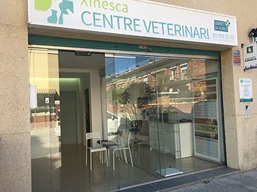 Les portes automàtiques continuen sent un important aliat contra el Covid-19 - Portes i automatismes Enric