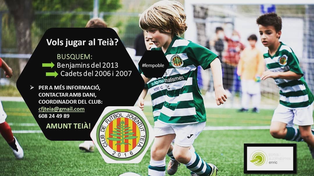 Vols jugar al Teià? - Portes i automatismes enric