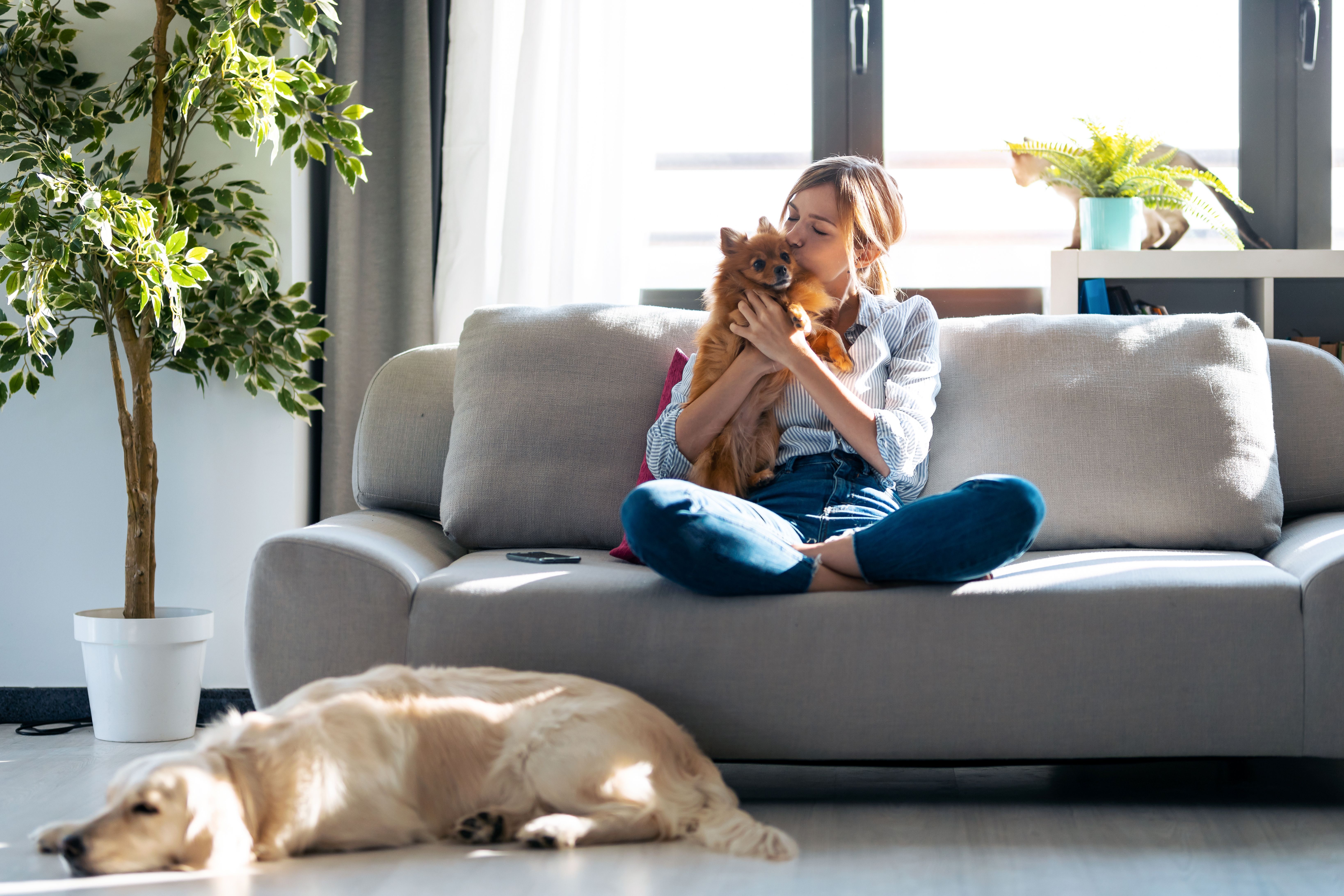 Por qué las puertas automáticas son beneficiosas para quienes tienen mascotas- Puertas y automatismos Erric